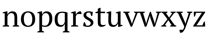 PT Serif Caption Regular Font LOWERCASE