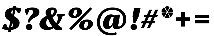 PT Serif Pro Black Italic Font OTHER CHARS