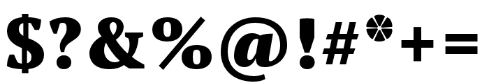 PT Serif Pro Black Font OTHER CHARS