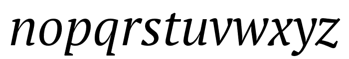 PT Serif Pro Book Italic Font LOWERCASE