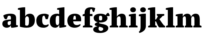 PT Serif Pro Extended Black Font LOWERCASE