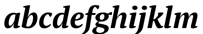 PT Serif Pro Extended Bold Italic Font LOWERCASE