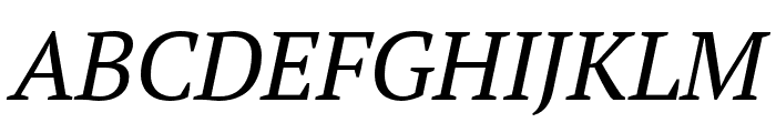 PT Serif Pro Extended Italic Font UPPERCASE