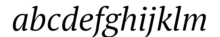 PT Serif Pro Narrow Book Italic Font LOWERCASE