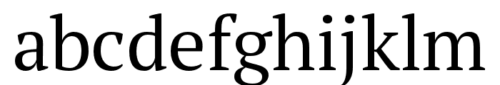 PT Serif Pro Narrow Book Font LOWERCASE