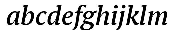 PT Serif Pro Narrow Demi Italic Font LOWERCASE