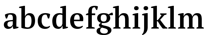 PT Serif Pro Narrow Demi Font LOWERCASE
