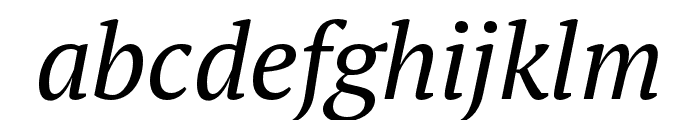 PT Serif Pro Narrow Italic Font LOWERCASE