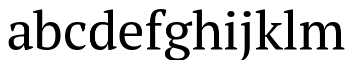 PT Serif Pro Narrow Regular Font LOWERCASE