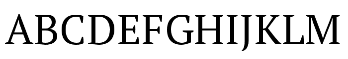 PT Serif Pro Regular Font UPPERCASE