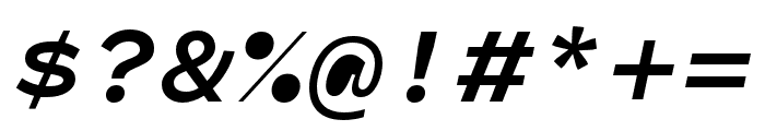 Panel Mono Bold Italic Font OTHER CHARS