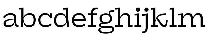 Panel Regular Font LOWERCASE