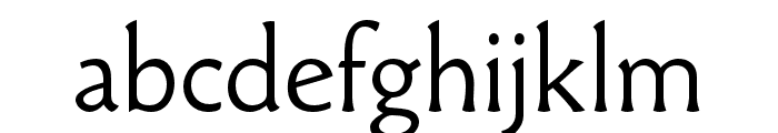 Paradigm Pro Light Font LOWERCASE