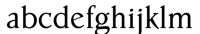 Parkinson Condensed Font LOWERCASE