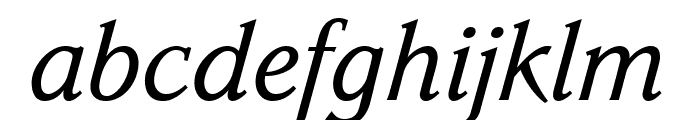 Parkinson Italic Font LOWERCASE