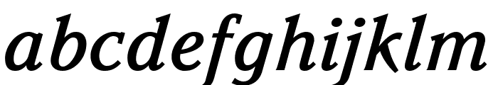 Parkinson MediumItalic Font LOWERCASE