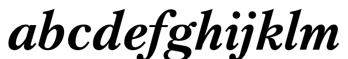 Petersburg Bold Italic Font LOWERCASE