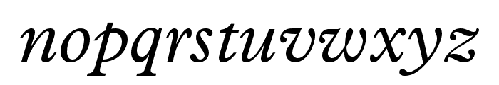 Plantin MT Pro Italic Font LOWERCASE