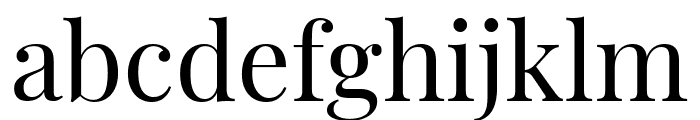 Playfair Display Regular Font LOWERCASE