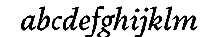 Pliego Italic Font LOWERCASE
