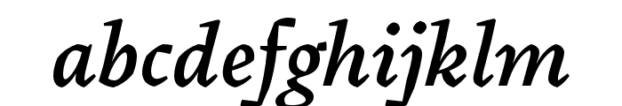 Pliego Medium Italic Font LOWERCASE