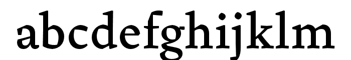 Pliego Medium Font LOWERCASE