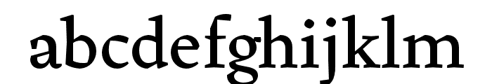 Pliego Regular Font LOWERCASE