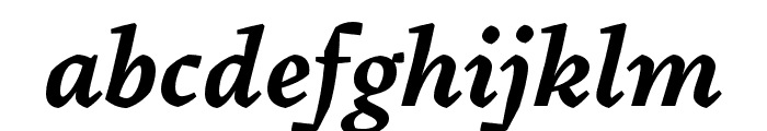 Pliego SemiBold Italic Font LOWERCASE