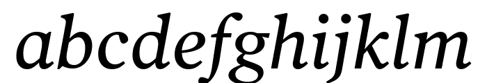 Poynter Oldstyle Text Italic Font LOWERCASE