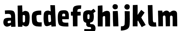 Prater Serif Pro Bold Font LOWERCASE