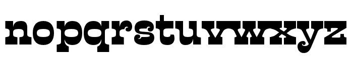 Presley Slab ExtraBold Font LOWERCASE