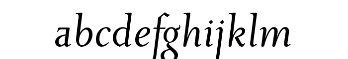 Priori Serif OT Italic Font LOWERCASE