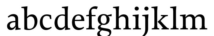 Proforma Medium Font LOWERCASE