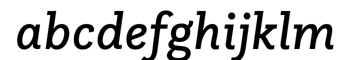 Questa Slab Medium Italic Font LOWERCASE