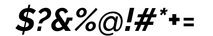 Raleway Bold Italic Font OTHER CHARS