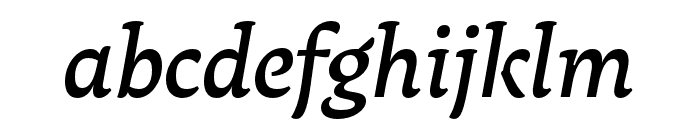 Raritas Medium Italic Font LOWERCASE