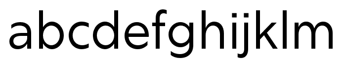 Rig Sans Regular Font LOWERCASE