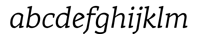 Rival Light Italic Font LOWERCASE
