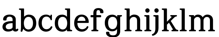 RixRak Serif Pro Bold Font LOWERCASE