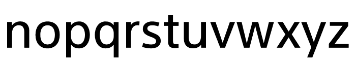 RixSinGoSE Pro Bold Font LOWERCASE