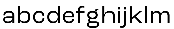 Roc Grotesk Compressed Font LOWERCASE