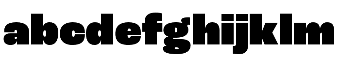 Roc Grotesk Condensed Heavy Font LOWERCASE