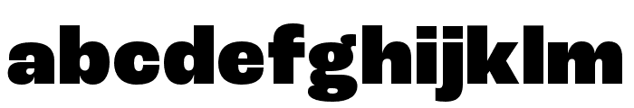 Roc Grotesk ExtraWide Black Font LOWERCASE
