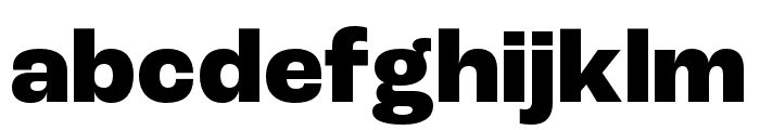 Roc Grotesk Wide ExtraBold Font LOWERCASE