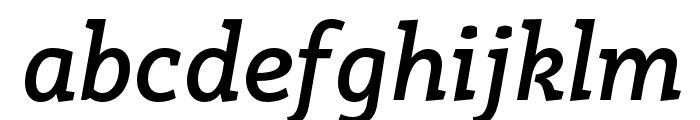 Rogliano Bold Italic Font LOWERCASE