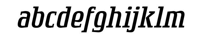 RogueSerif Light Italic Font LOWERCASE
