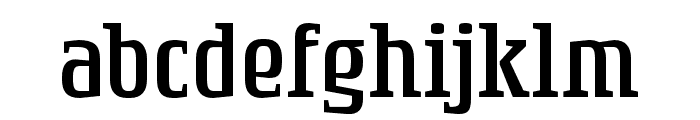 RogueSerif Light Font LOWERCASE