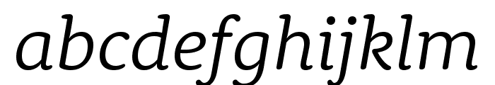 Rooney Light Italic Font LOWERCASE