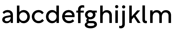 Rotunda Variable Regular Font LOWERCASE