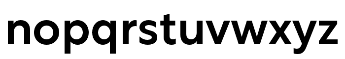 Rustica Medium Font LOWERCASE